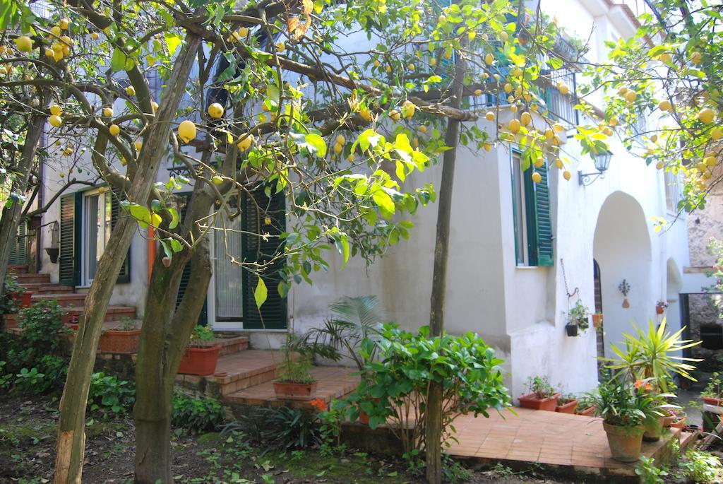 Sorrento Studios Lemons Hill Cameră foto