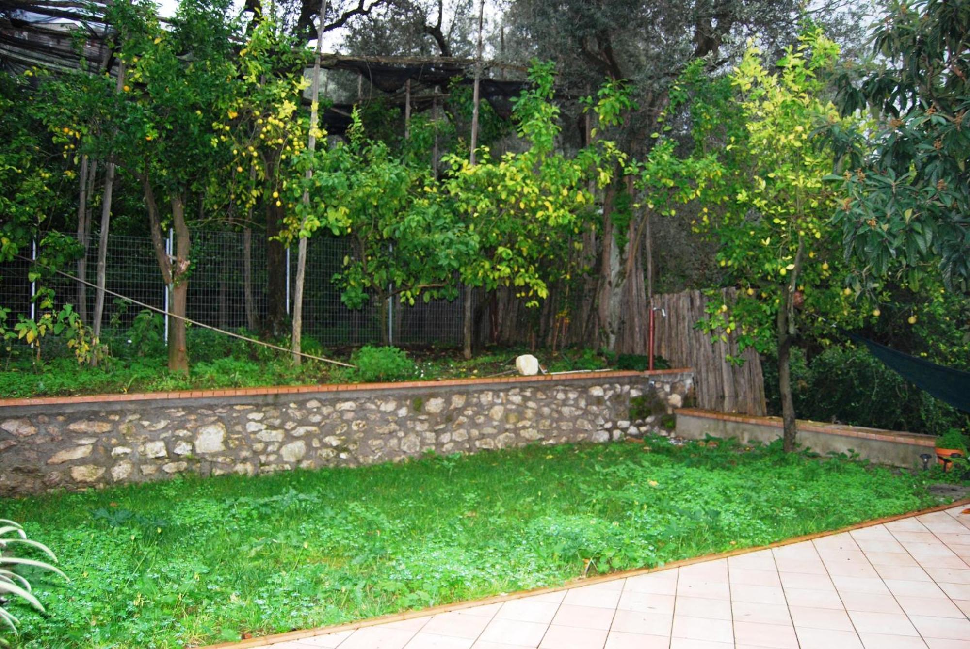 Sorrento Studios Lemons Hill Cameră foto